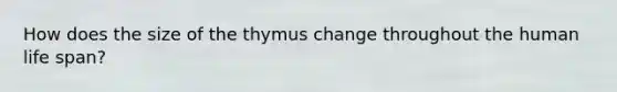 How does the size of the thymus change throughout the human life span?