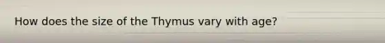How does the size of the Thymus vary with age?
