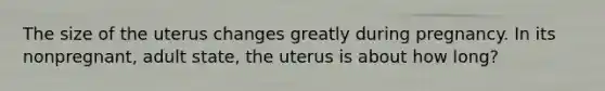 The size of the uterus changes greatly during pregnancy. In its nonpregnant, adult state, the uterus is about how long?