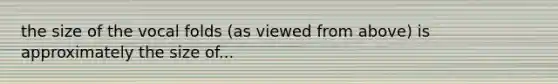 the size of the vocal folds (as viewed from above) is approximately the size of...