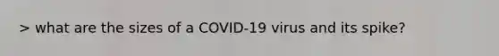 > what are the sizes of a COVID-19 virus and its spike?