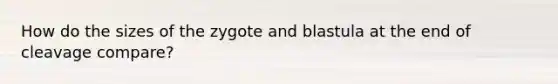 How do the sizes of the zygote and blastula at the end of cleavage compare?