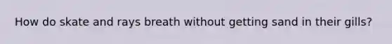 How do skate and rays breath without getting sand in their gills?