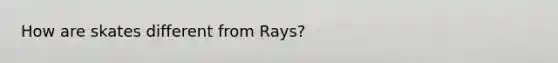 How are skates different from Rays?