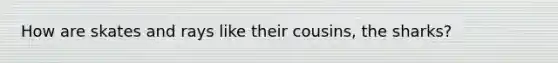 How are skates and rays like their cousins, the sharks?