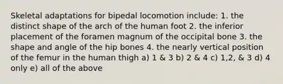 Skeletal adaptations for bipedal locomotion include: 1. the distinct shape of the arch of the human foot 2. the inferior placement of the foramen magnum of the occipital bone 3. the shape and angle of the hip bones 4. the nearly vertical position of the femur in the human thigh a) 1 & 3 b) 2 & 4 c) 1,2, & 3 d) 4 only e) all of the above