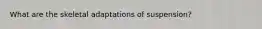 What are the skeletal adaptations of suspension?