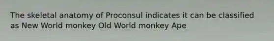 The skeletal anatomy of Proconsul indicates it can be classified as New World monkey Old World monkey Ape