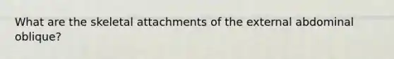 What are the skeletal attachments of the external abdominal oblique?