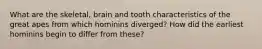 What are the skeletal, brain and tooth characteristics of the great apes from which hominins diverged? How did the earliest hominins begin to differ from these?