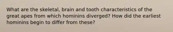 What are the skeletal, brain and tooth characteristics of the great apes from which hominins diverged? How did the earliest hominins begin to differ from these?