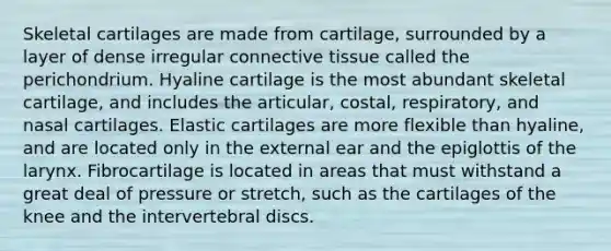 Skeletal cartilages are made from cartilage, surrounded by a layer of dense irregular connective tissue called the perichondrium. Hyaline cartilage is the most abundant skeletal cartilage, and includes the articular, costal, respiratory, and nasal cartilages. Elastic cartilages are more flexible than hyaline, and are located only in the external ear and the epiglottis of the larynx. Fibrocartilage is located in areas that must withstand a great deal of pressure or stretch, such as the cartilages of the knee and the intervertebral discs.