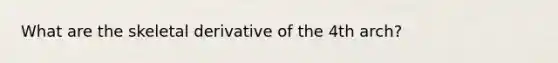 What are the skeletal derivative of the 4th arch?