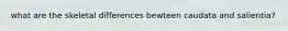 what are the skeletal differences bewteen caudata and salientia?