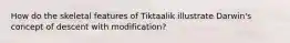 How do the skeletal features of Tiktaalik illustrate Darwin's concept of descent with modification?