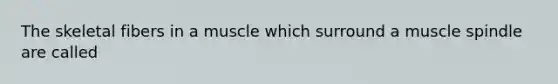 The skeletal fibers in a muscle which surround a muscle spindle are called