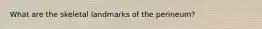 What are the skeletal landmarks of the perineum?