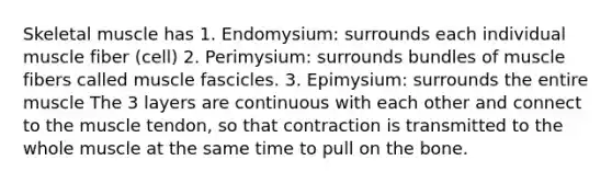 Skeletal muscle has 1. Endomysium: surrounds each individual muscle fiber (cell) 2. Perimysium: surrounds bundles of muscle fibers called muscle fascicles. 3. Epimysium: surrounds the entire muscle The 3 layers are continuous with each other and connect to the muscle tendon, so that contraction is transmitted to the whole muscle at the same time to pull on the bone.