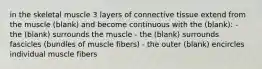 in the skeletal muscle 3 layers of connective tissue extend from the muscle (blank) and become continuous with the (blank): - the (blank) surrounds the muscle - the (blank) surrounds fascicles (bundles of muscle fibers) - the outer (blank) encircles individual muscle fibers