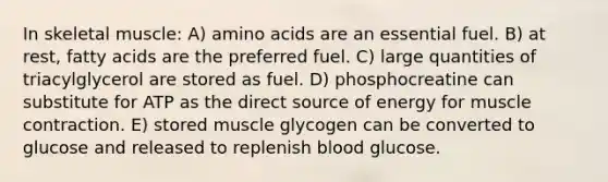 In skeletal muscle: A) amino acids are an essential fuel. B) at rest, fatty acids are the preferred fuel. C) large quantities of triacylglycerol are stored as fuel. D) phosphocreatine can substitute for ATP as the direct source of energy for muscle contraction. E) stored muscle glycogen can be converted to glucose and released to replenish blood glucose.