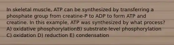 In skeletal muscle, ATP can be synthesized by transferring a phosphate group from creatine-P to ADP to form ATP and creatine. In this example, ATP was synthesized by what process? A) oxidative phosphorylationB) substrate-level phosphorylation C) oxidation D) reduction E) condensation