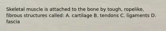 Skeletal muscle is attached to the bone by tough, ropelike, fibrous structures called: A. cartilage B. tendons C. ligaments D. fascia