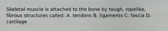 Skeletal muscle is attached to the bone by tough, ropelike, fibrous structures called: A. tendons B. ligaments C. fascia D. cartilage