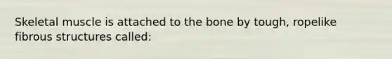 Skeletal muscle is attached to the bone by tough, ropelike fibrous structures called: