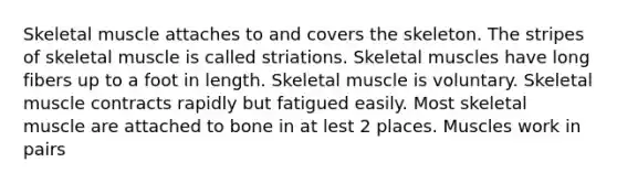 Skeletal muscle attaches to and covers the skeleton. The stripes of skeletal muscle is called striations. Skeletal muscles have long fibers up to a foot in length. Skeletal muscle is voluntary. Skeletal muscle contracts rapidly but fatigued easily. Most skeletal muscle are attached to bone in at lest 2 places. Muscles work in pairs