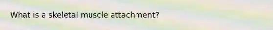 What is a skeletal muscle attachment?