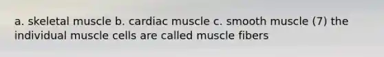 a. skeletal muscle b. cardiac muscle c. smooth muscle (7) the individual muscle cells are called muscle fibers