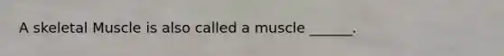 A skeletal Muscle is also called a muscle ______.