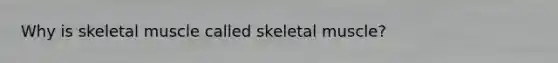 Why is skeletal muscle called skeletal muscle?