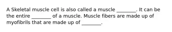 A Skeletal muscle cell is also called a muscle ________. It can be the entire ________ of a muscle. Muscle fibers are made up of myofibrils that are made up of ________.