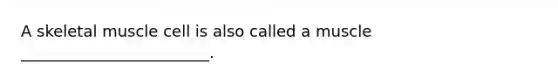 A skeletal muscle cell is also called a muscle ________________________.