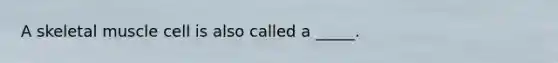 A skeletal muscle cell is also called a _____.