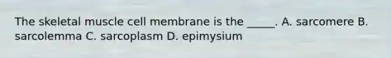 The skeletal muscle cell membrane is the _____. A. sarcomere B. sarcolemma C. sarcoplasm D. epimysium
