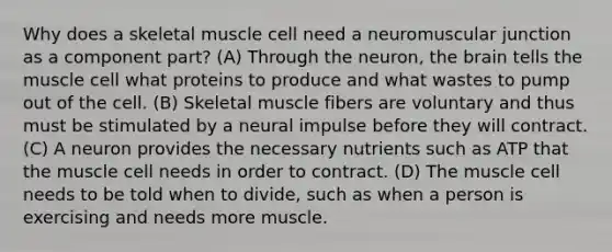 Why does a skeletal muscle cell need a neuromuscular junction as a component part? (A) Through the neuron, the brain tells the muscle cell what proteins to produce and what wastes to pump out of the cell. (B) Skeletal muscle fibers are voluntary and thus must be stimulated by a neural impulse before they will contract. (C) A neuron provides the necessary nutrients such as ATP that the muscle cell needs in order to contract. (D) The muscle cell needs to be told when to divide, such as when a person is exercising and needs more muscle.