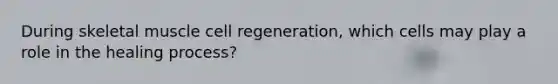 During skeletal muscle cell regeneration, which cells may play a role in the healing process?
