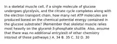 In a skeletal muscle cell, if a single molecule of glucose undergoes glycolysis, and the citrate cycle completes along with the electron transport chain, how many net ATP molecules are produced based on the chemical potential energy contained in the glucose substrate? (Remember that skeletal muscle relies most heavily on the glycerol-3-phosphate shuttle. Also, assume that there was no additional entry/exit of other chemistry into/out of these pathways.) A. 34 B. 35 C. 32 D. 30