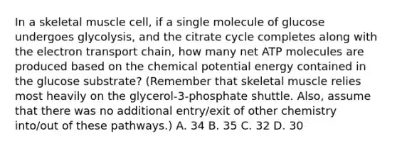 In a skeletal muscle cell, if a single molecule of glucose undergoes glycolysis, and the citrate cycle completes along with <a href='https://www.questionai.com/knowledge/k57oGBr0HP-the-electron-transport-chain' class='anchor-knowledge'>the electron transport chain</a>, how many net ATP molecules are produced based on the chemical potential energy contained in the glucose substrate? (Remember that skeletal muscle relies most heavily on the glycerol-3-phosphate shuttle. Also, assume that there was no additional entry/exit of other chemistry into/out of these pathways.) A. 34 B. 35 C. 32 D. 30