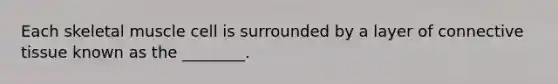 Each skeletal muscle cell is surrounded by a layer of connective tissue known as the ________.