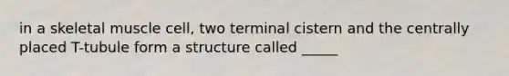 in a skeletal muscle cell, two terminal cistern and the centrally placed T-tubule form a structure called _____