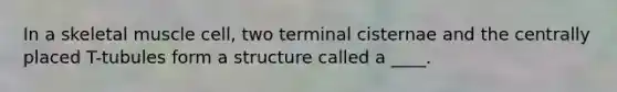 In a skeletal muscle cell, two terminal cisternae and the centrally placed T-tubules form a structure called a ____.