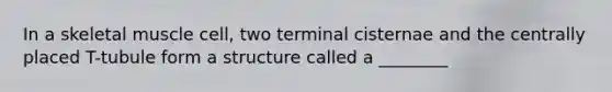 In a skeletal muscle cell, two terminal cisternae and the centrally placed T-tubule form a structure called a ________