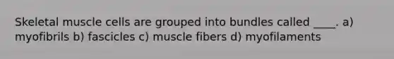 Skeletal muscle cells are grouped into bundles called ____. a) myofibrils b) fascicles c) muscle fibers d) myofilaments