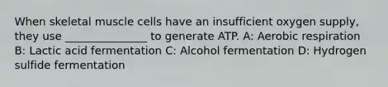 When skeletal muscle cells have an insufficient oxygen supply, they use _______________ to generate ATP. A: Aerobic respiration B: Lactic acid fermentation C: Alcohol fermentation D: Hydrogen sulfide fermentation