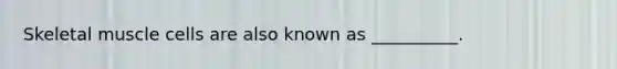 Skeletal muscle cells are also known as __________.
