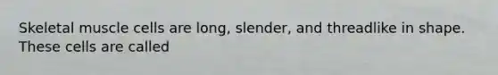 Skeletal muscle cells are long, slender, and threadlike in shape. These cells are called