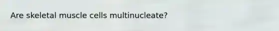 Are skeletal muscle cells multinucleate?